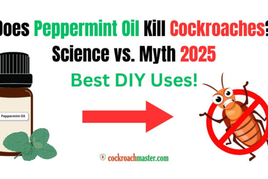 Does Peppermint Oil Kill Cockroaches