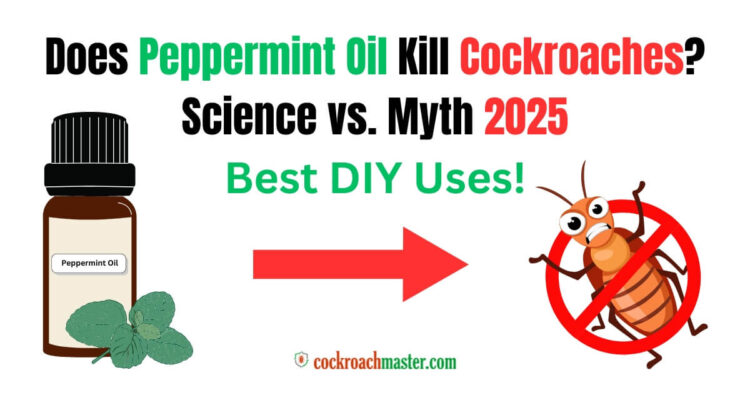 Does Peppermint Oil Kill Cockroaches