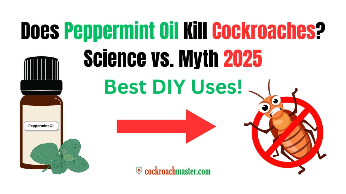 Does Peppermint Oil Kill Cockroaches