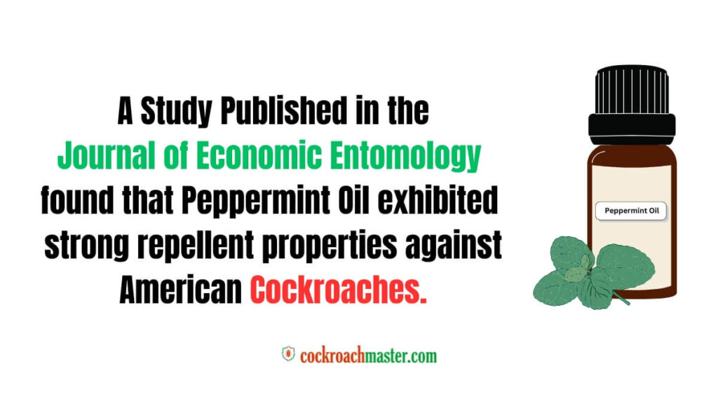 Does Peppermint Oil Kill Cockroaches