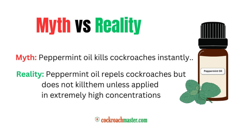 Does Peppermint Oil Kill Cockroaches