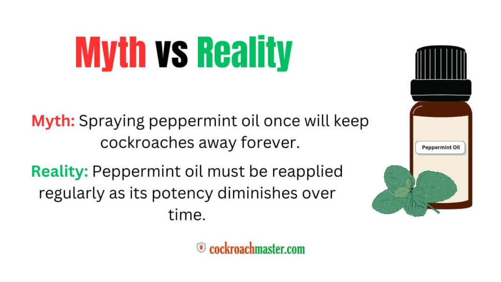 Does Peppermint Oil Kill Cockroaches