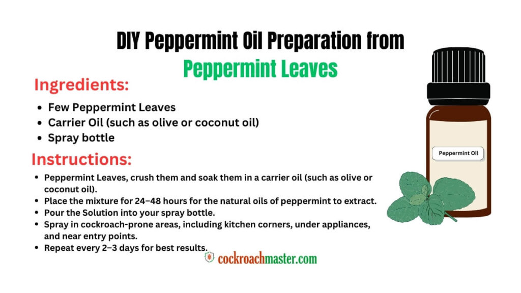 Does Peppermint Oil Kill Cockroaches