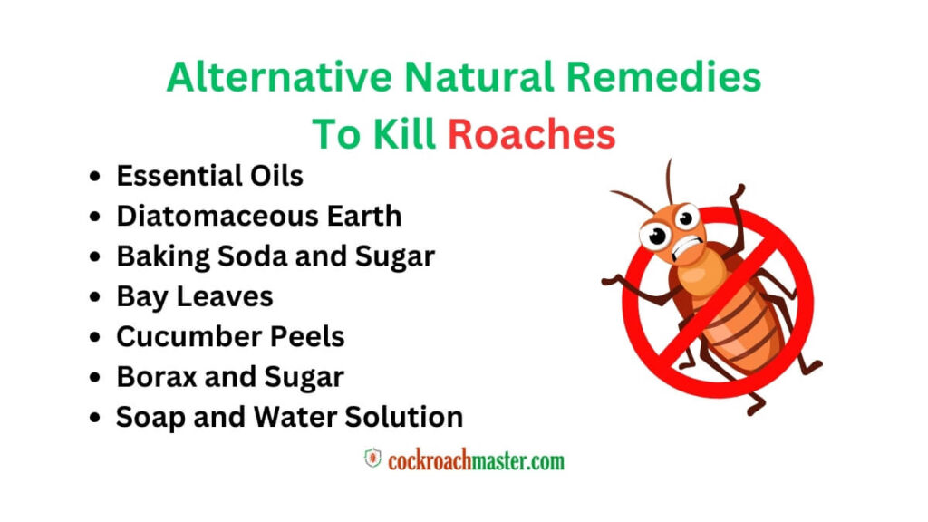 Does Peppermint Oil Kill Cockroaches