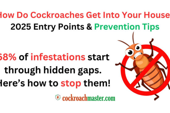 How Do Cockroaches Get Into Your House 2025 Entry Points & Prevention Tips 1