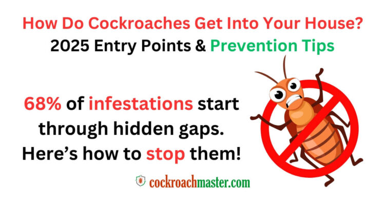 How Do Cockroaches Get Into Your House 2025 Entry Points & Prevention Tips 1