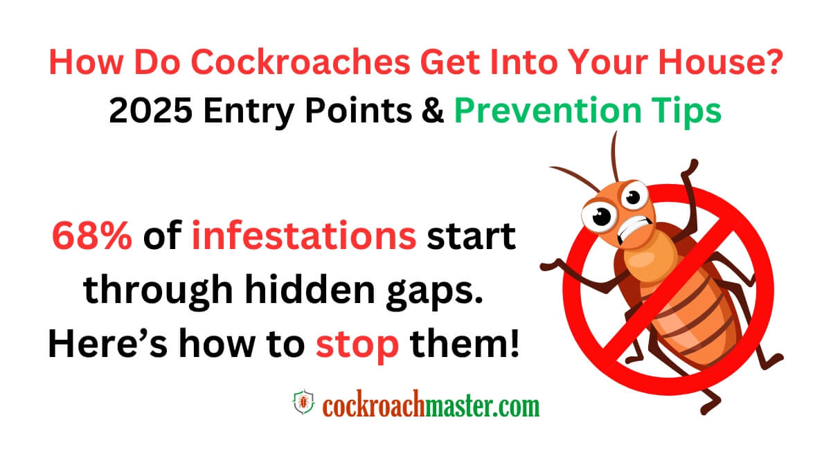 How Do Cockroaches Get Into Your House 2025 Entry Points & Prevention Tips 1