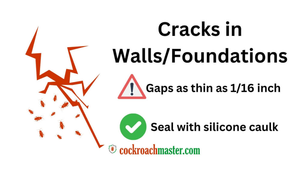 How Do Cockroaches Get Into Your House 2025 Entry Points & Prevention Tips 1