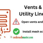 How Do Cockroaches Get Into Your House 2025 Entry Points & Prevention Tips 1