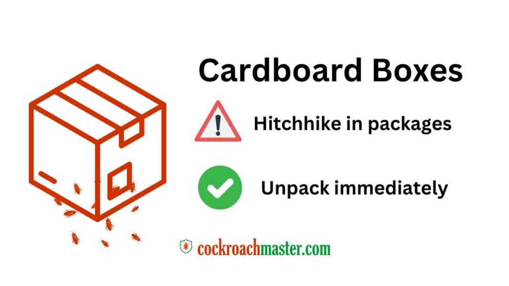 How Do Cockroaches Get Into Your House 2025 Entry Points & Prevention Tips 1