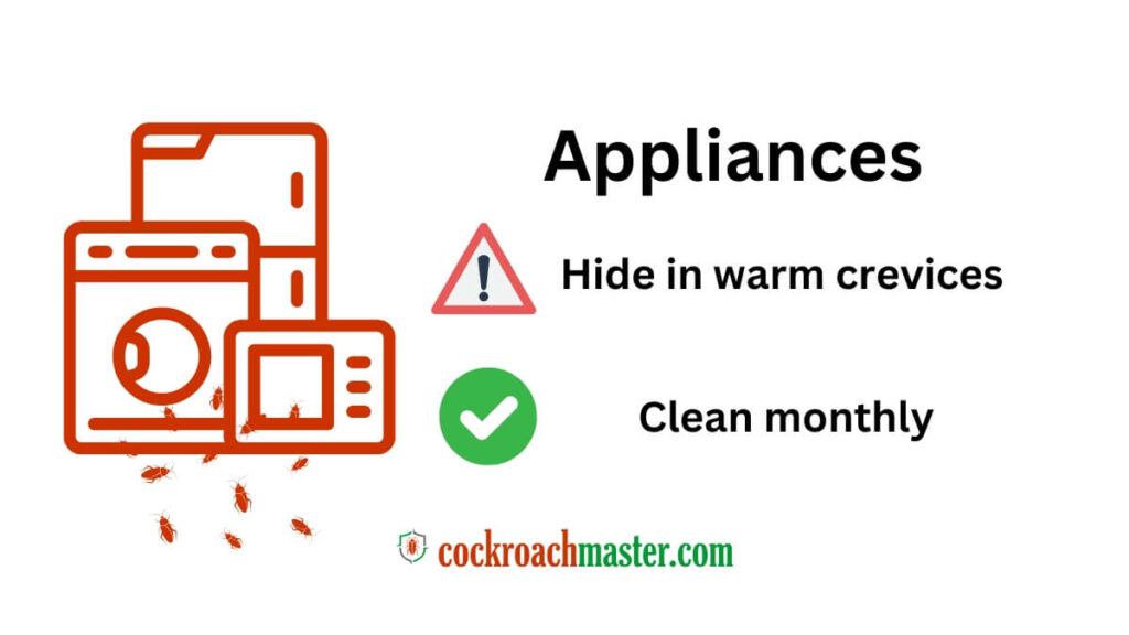 How Do Cockroaches Get Into Your House 2025 Entry Points & Prevention Tips 1