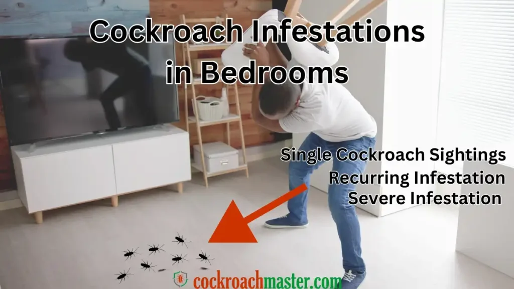 Reasons Why Cockroaches in Bedroom