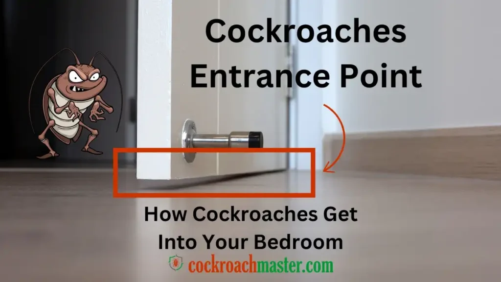 Reasons Why Cockroaches in Bedroom, How Cockroaches Get Into Your Bedroom