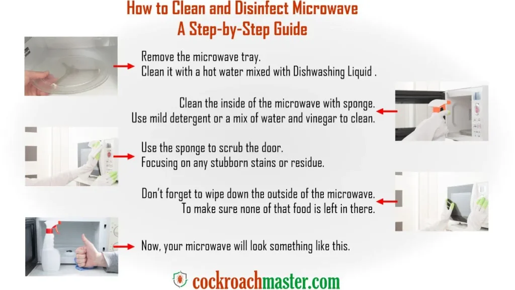 How to Clean and Disinfect Microwave A Step-by-Step Guide, Cockroaches in Microwave
