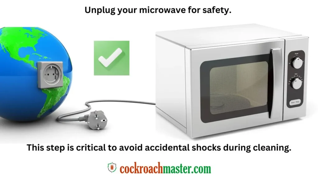 Turn Off and Simply Unplug your Microwave, Cockroaches in Microwave