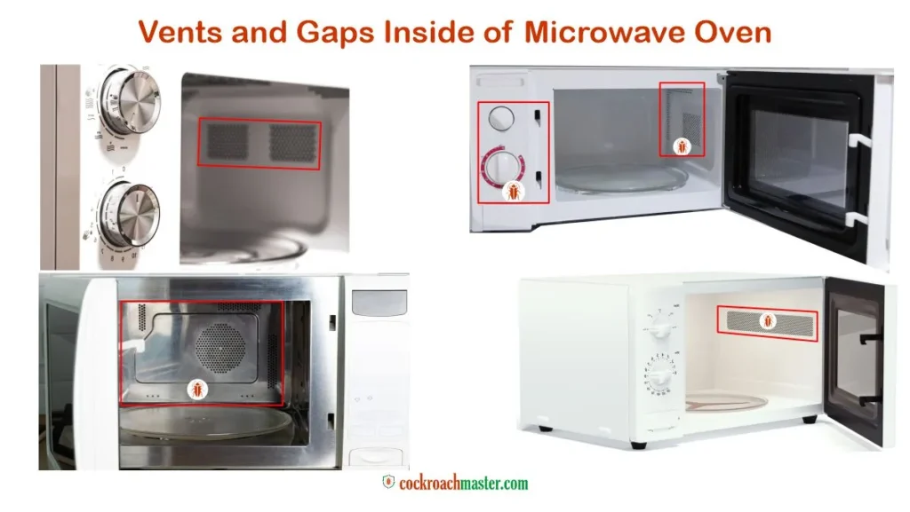cockroach in microwave oven door