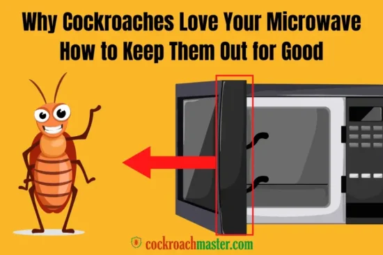 Why Cockroaches Love Your Microwave How to Keep Them Out for Good Cockroach in Microwave Oven Door