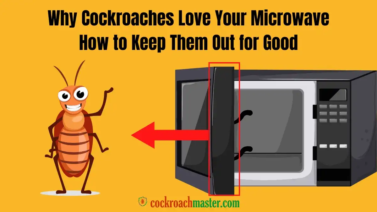 Why Cockroaches Love Your Microwave How to Keep Them Out for Good Cockroach in Microwave Oven Door