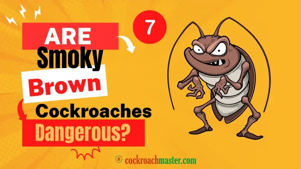Are Smoky Brown Cockroaches Dangerous