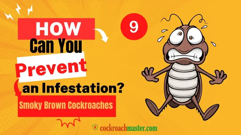 How Can You Prevent an Infestation Smoky Brown Cockroaches