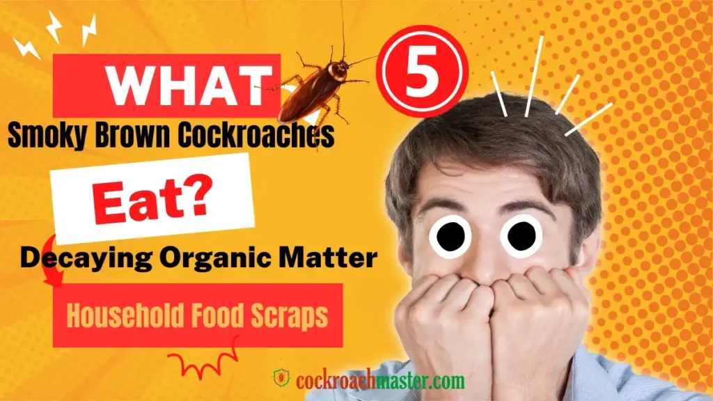 What Do Smoky Brown Cockroaches Eat (You’ll Be Surprised)