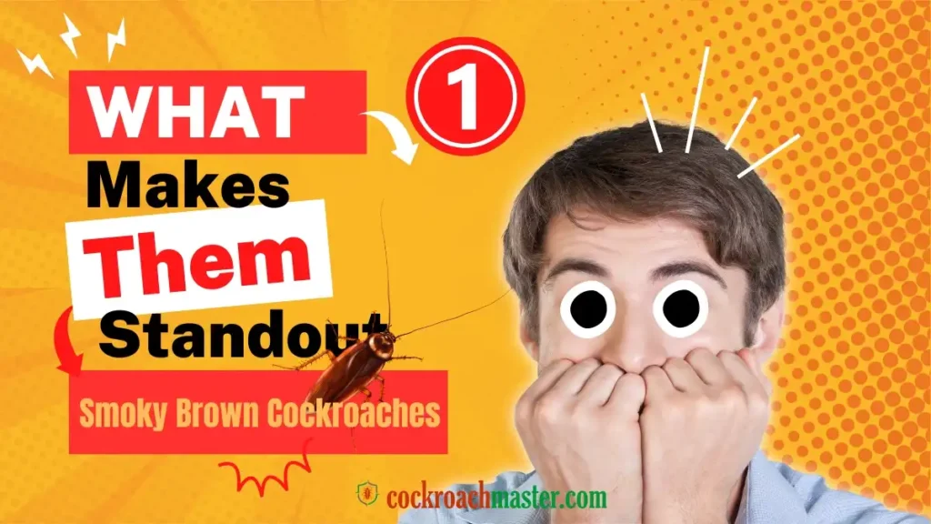 What Makes Smoky Brown Cockroaches Stand Out