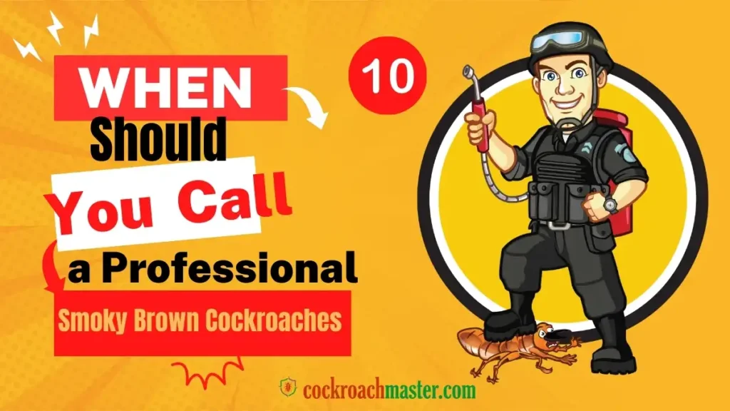When Should You Call a Professional Smoky Brown Cockroaches
