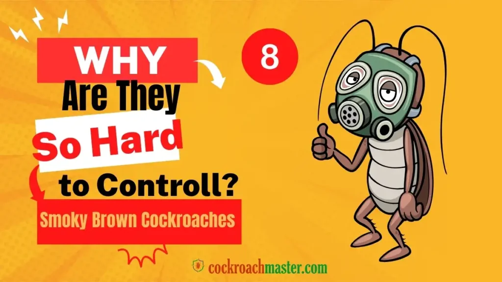 Why Are They So Hard to Control Smoky Brown Cockroaches