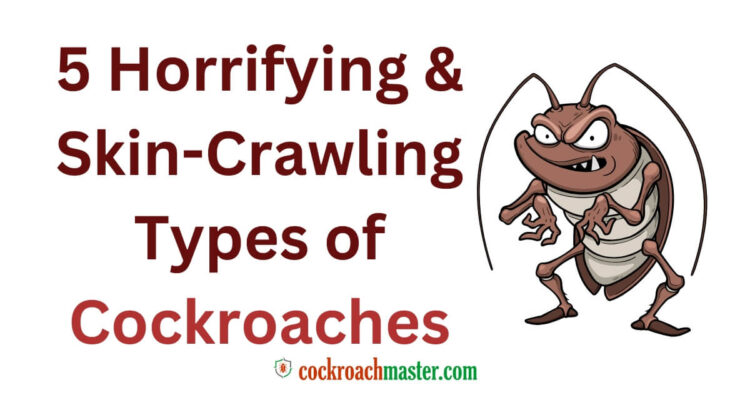 5 Horrifying & Skin-Crawling Types of Cockroaches