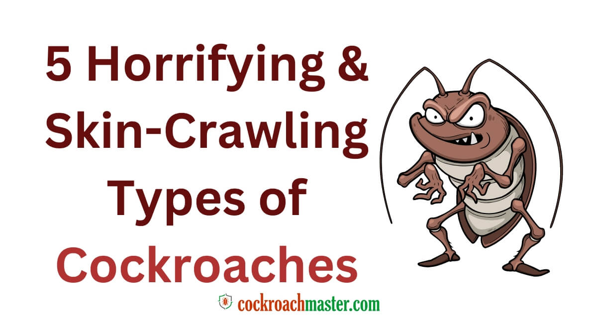 5 Horrifying & Skin-Crawling Types of Cockroaches