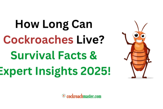 How Long Can Cockroaches Live Survival Facts & Expert Insights 2025!