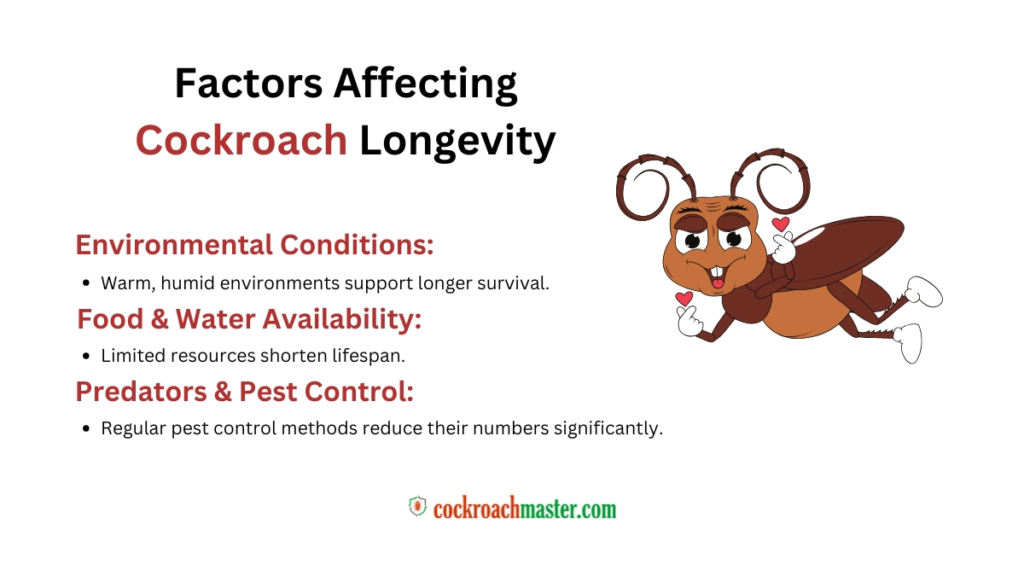 How Long Can Cockroaches Live Survival Facts & Expert Insights 2025!, Factors Affecting Cockroach Longevity