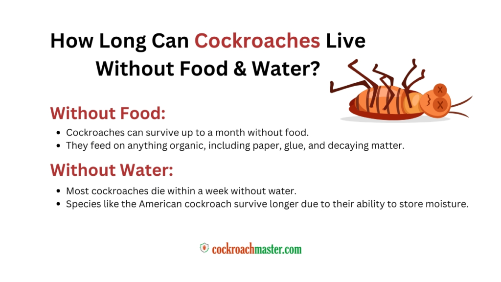 How Long Can Cockroaches Live Survival Facts & Expert Insights 2025!, How Long Can Cockroaches Live Without Food