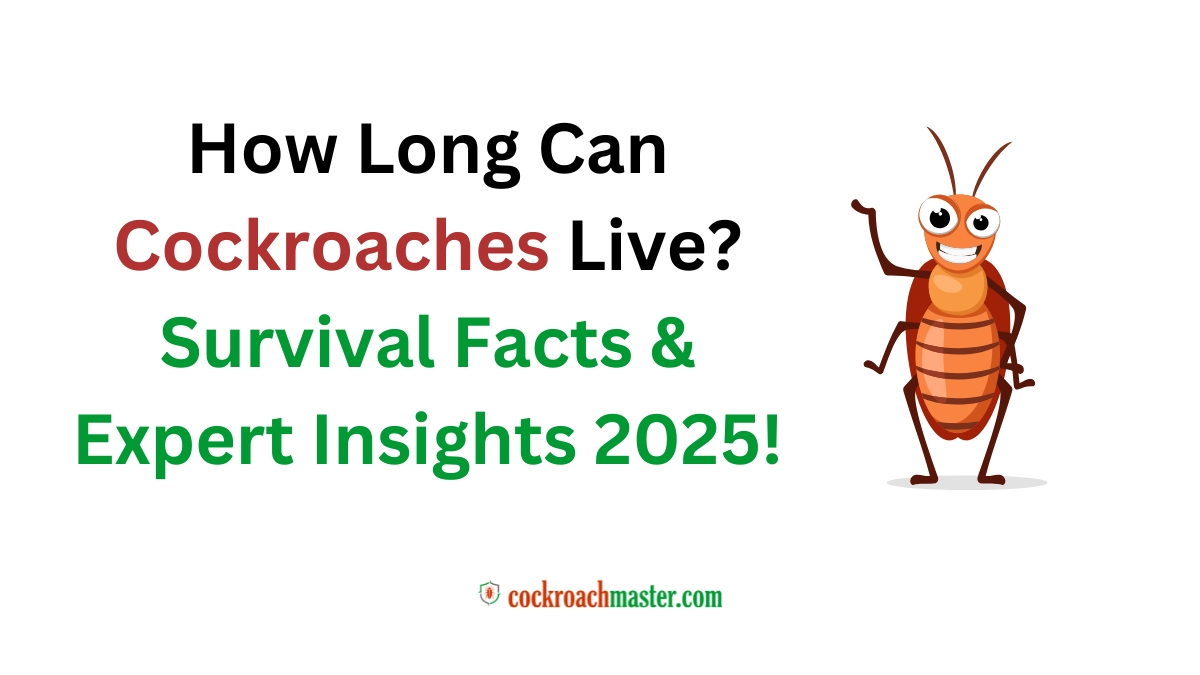 How Long Can Cockroaches Live Survival Facts & Expert Insights 2025!