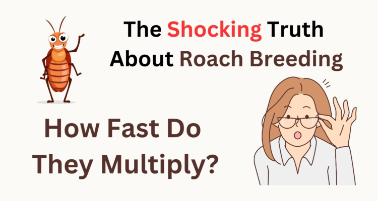 Roach Breeding